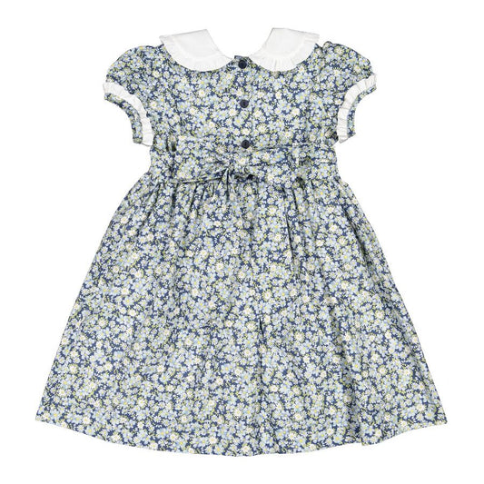 Winter Daisies Dress