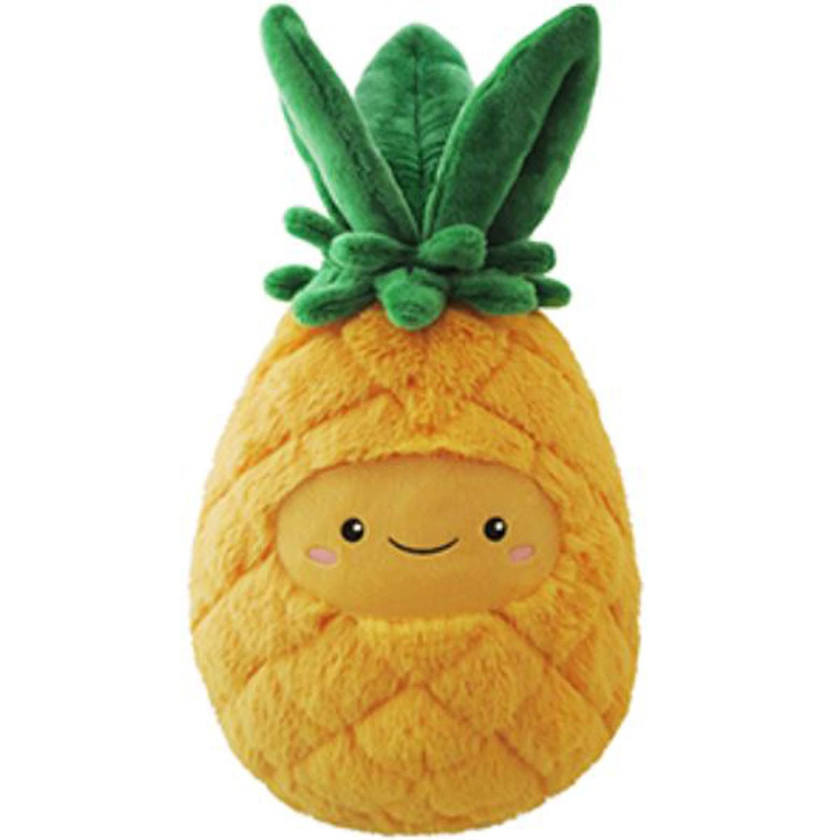 Pineapple Push Toy