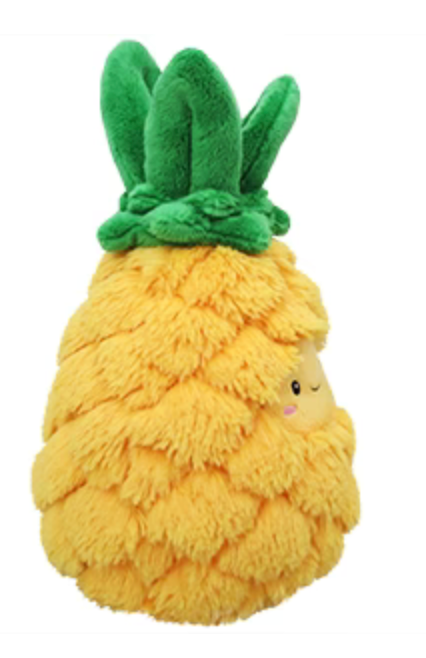 Pineapple Push Toy