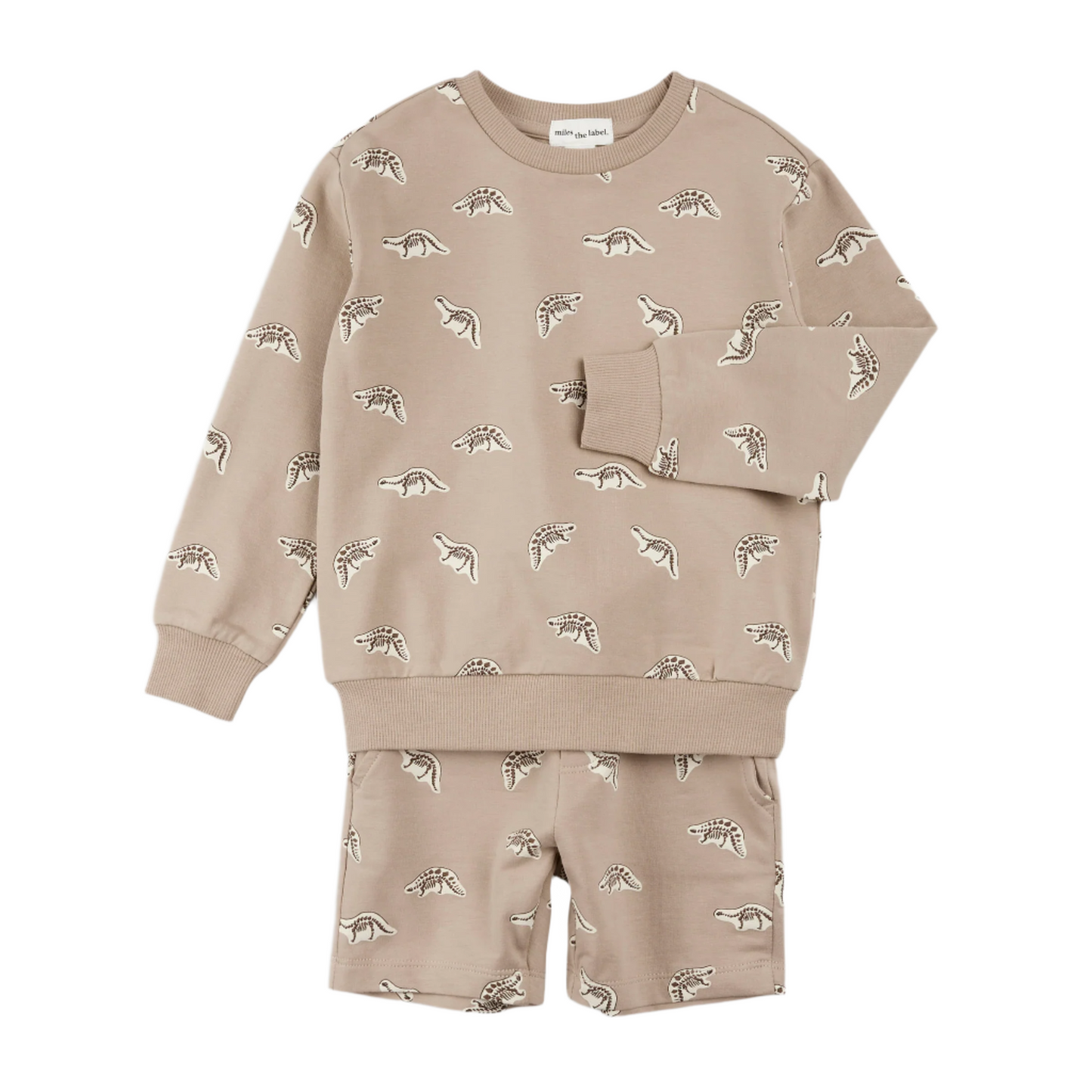 Dino Fossil Print Shorts Set
