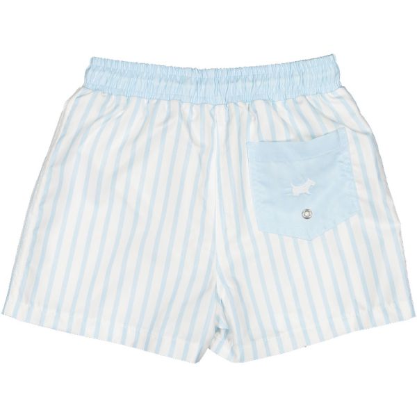 Blue Striped Swim Trunks
