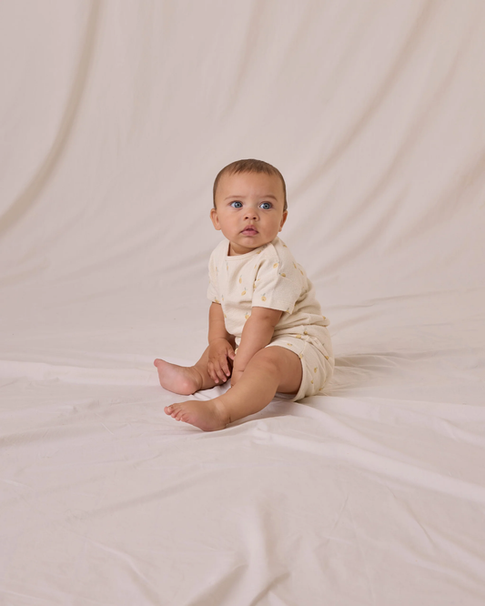 Spongy Play Set Lemons