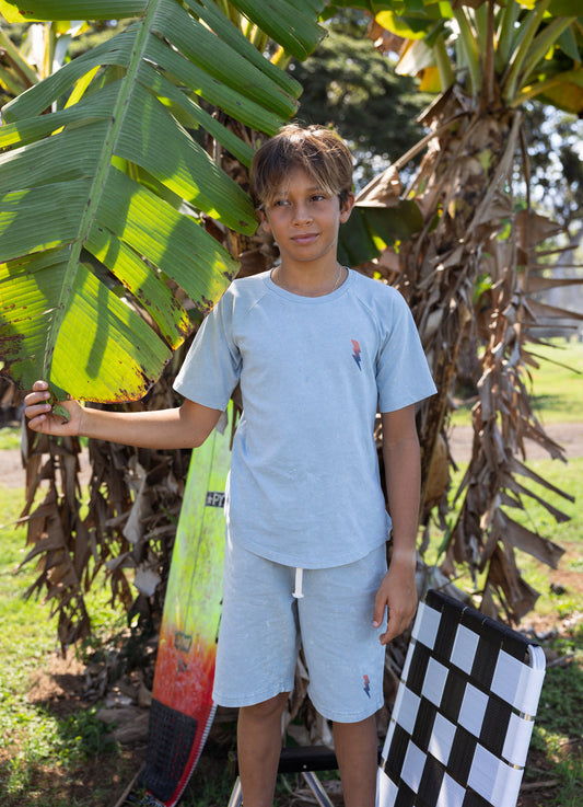 Raw Power Acid Washed Boy Shorts