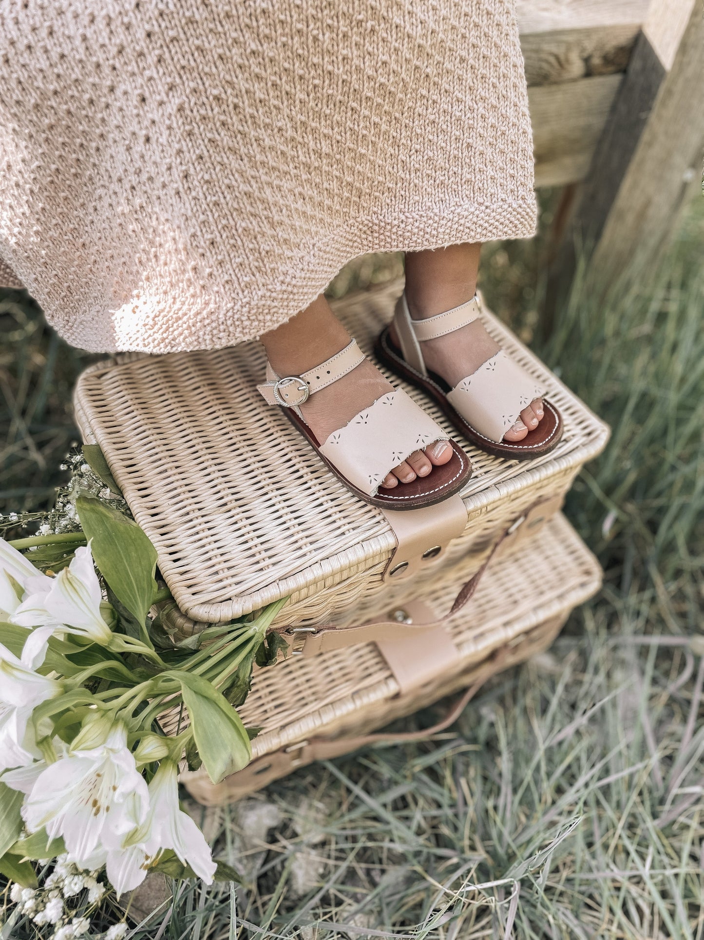 Wicker Suitcases