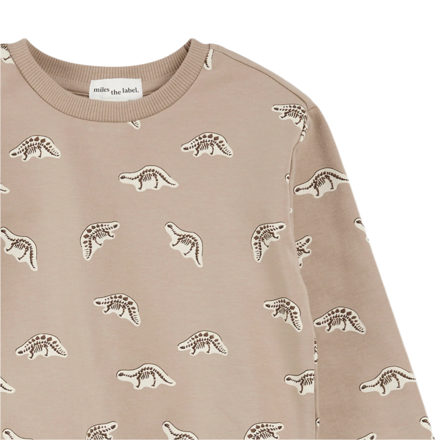 Dino Fossil  Sweatshirt