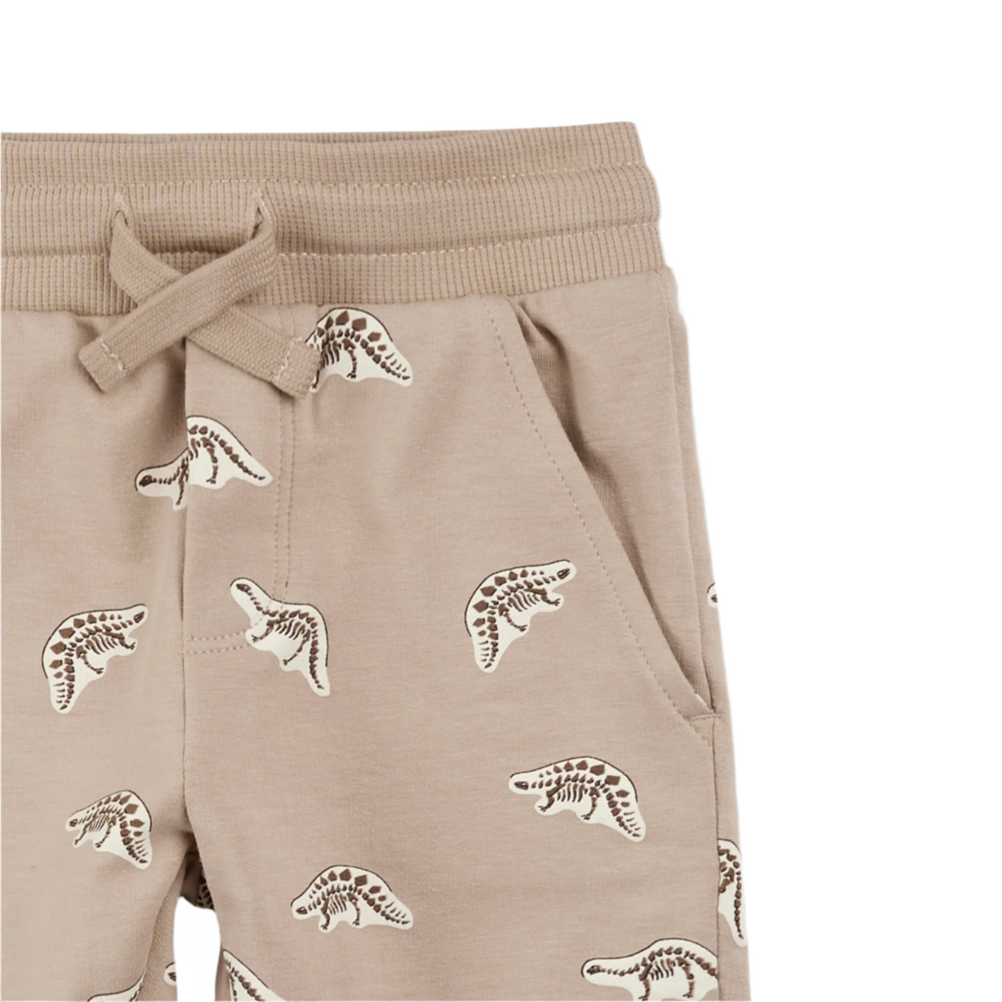 Dino Fossil  Shorts