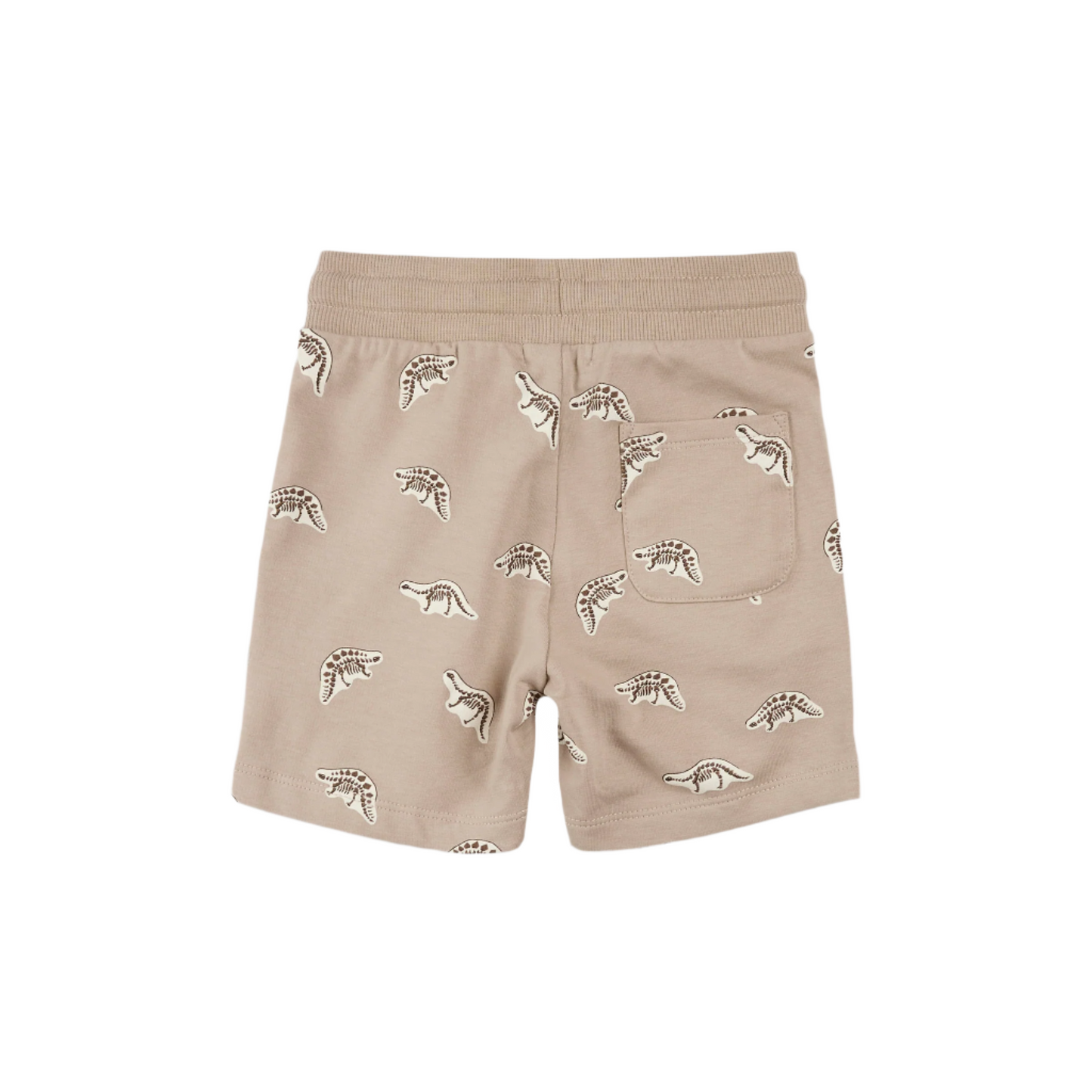 Dino Fossil  Shorts