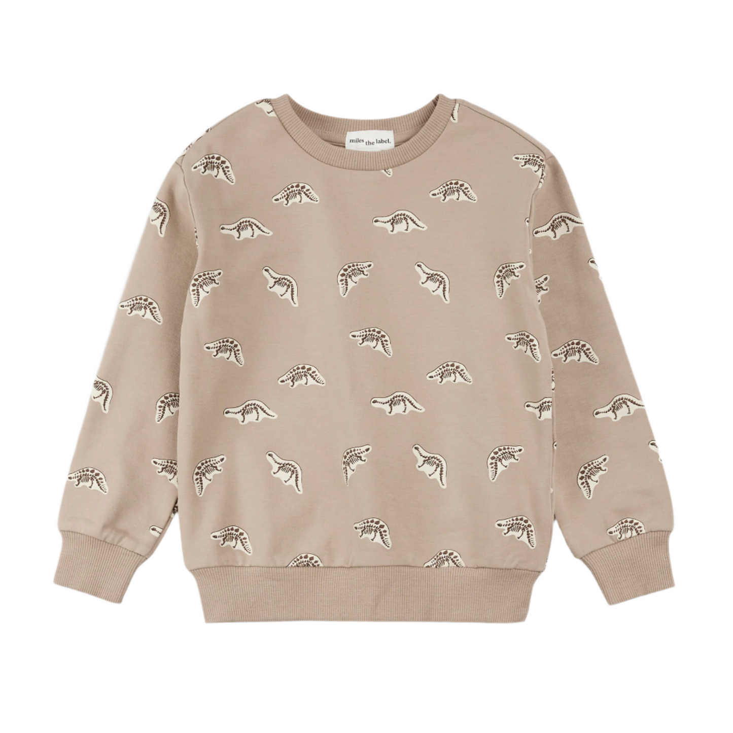 Dino Fossil  Sweatshirt